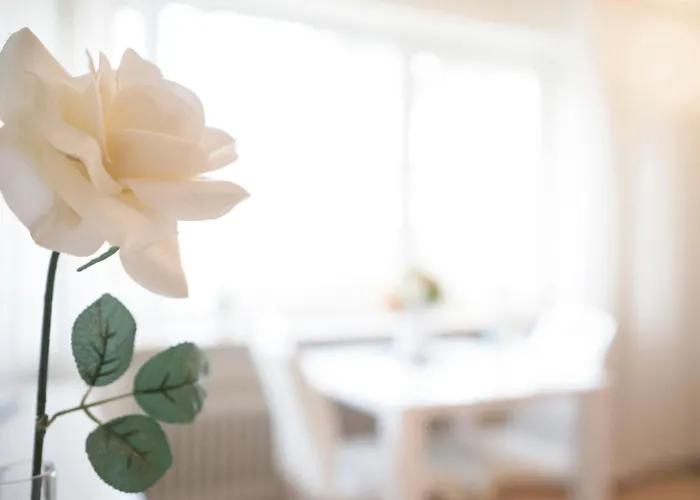 Apartment Haus Seepferdchen Am 2 Timmendorfer Strand